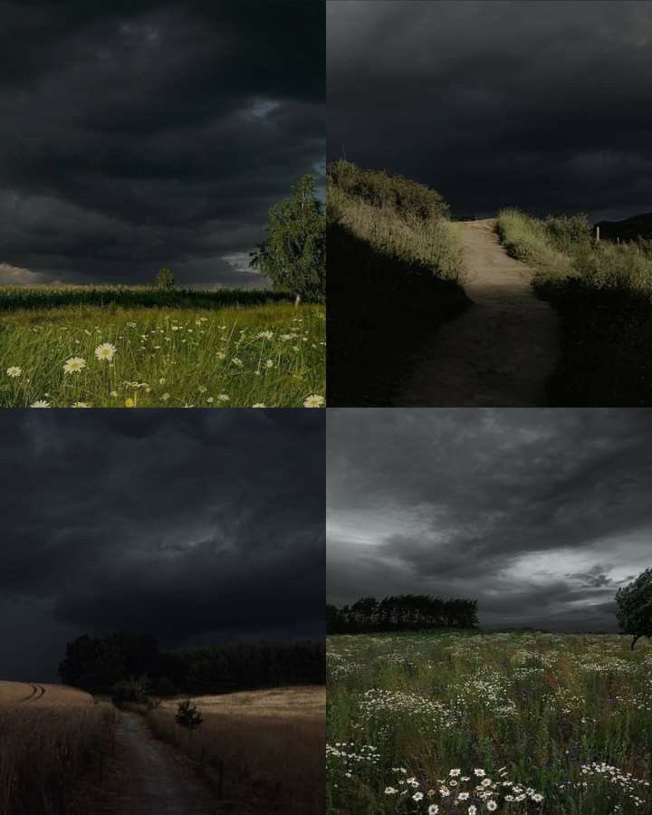 𝘯𝑎𝘵𝑢𝘳𝑒. tweet media