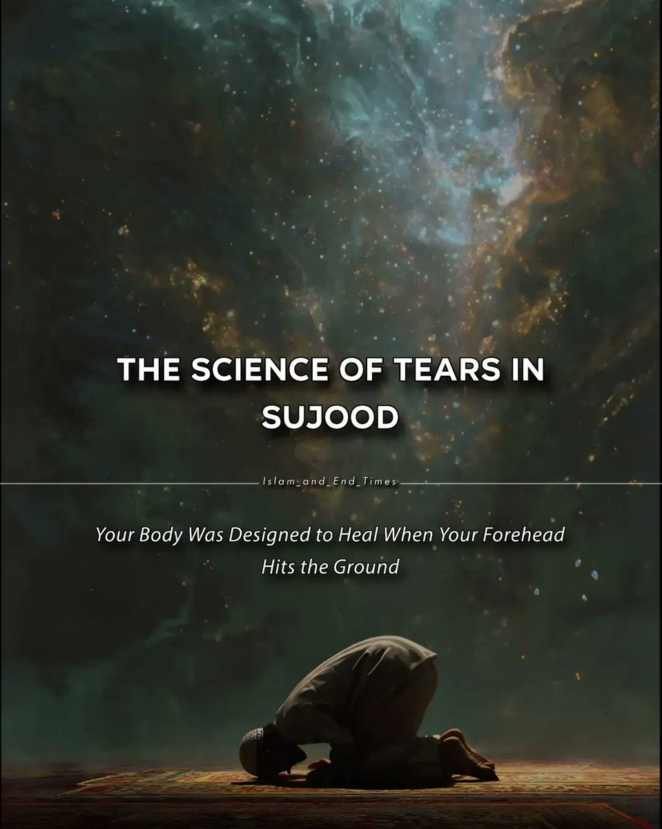 Science says tears in Sujood heal your nervous system. Islam says they save your soul from the Fire. In the last nights before the storm — the ground is your only refuge. 

—THREAD 🧵