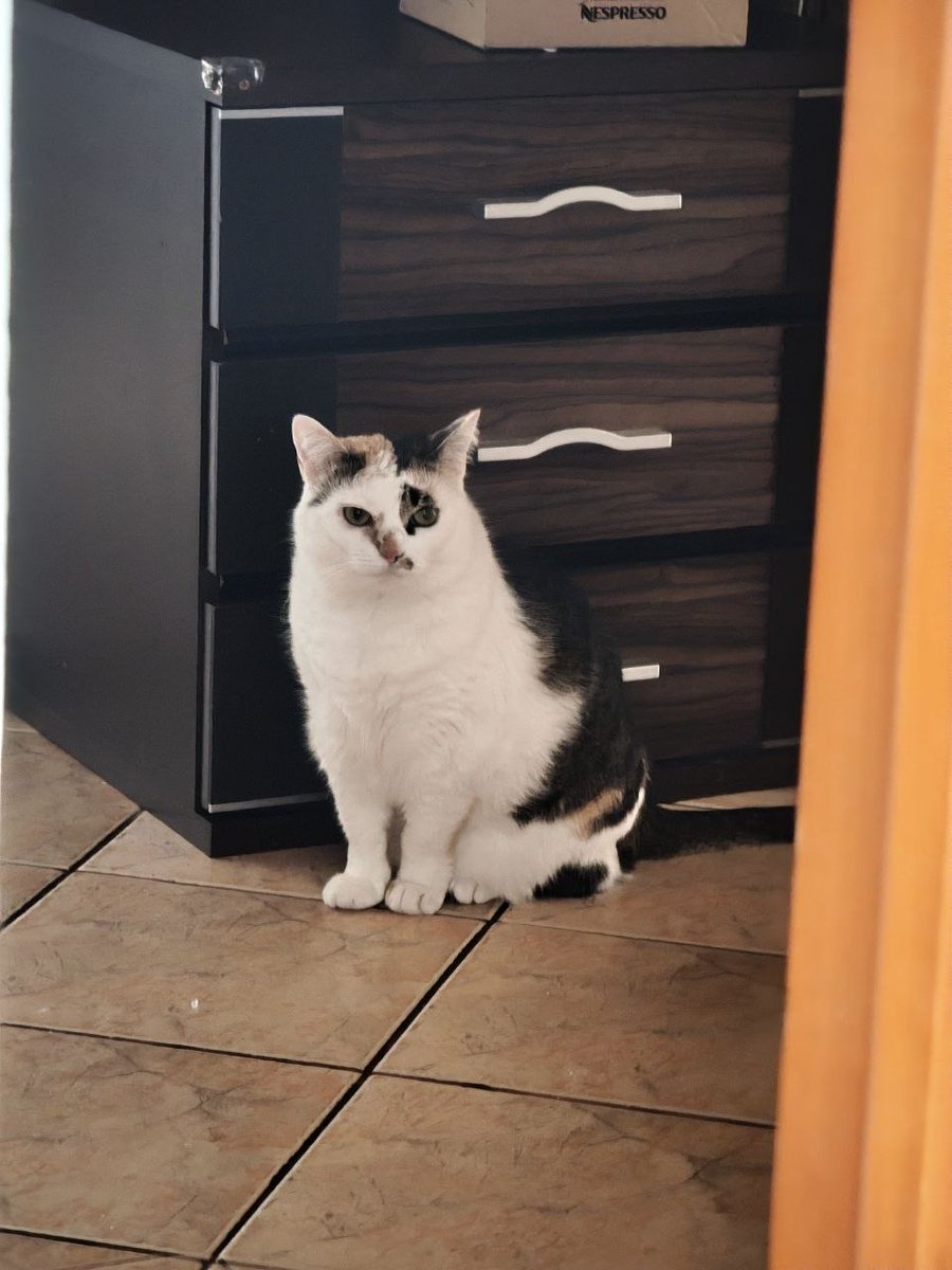 Леяра tweet media