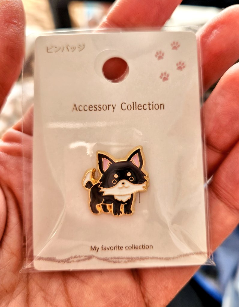 事務用品買いにセリア行ったらむっちゃかわいい犬シリーズのグッズ出て