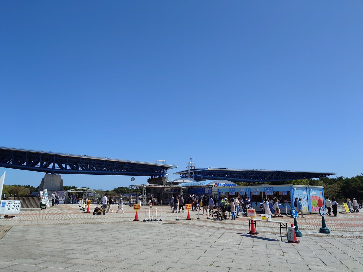 bunfami2's tweet photo. 今年の桜は完全に撮り逃したので、ひたち海浜公園にメモフィラを撮りに来た

アタリ一面真っ青 https://t.co/ZDV1VidmAb