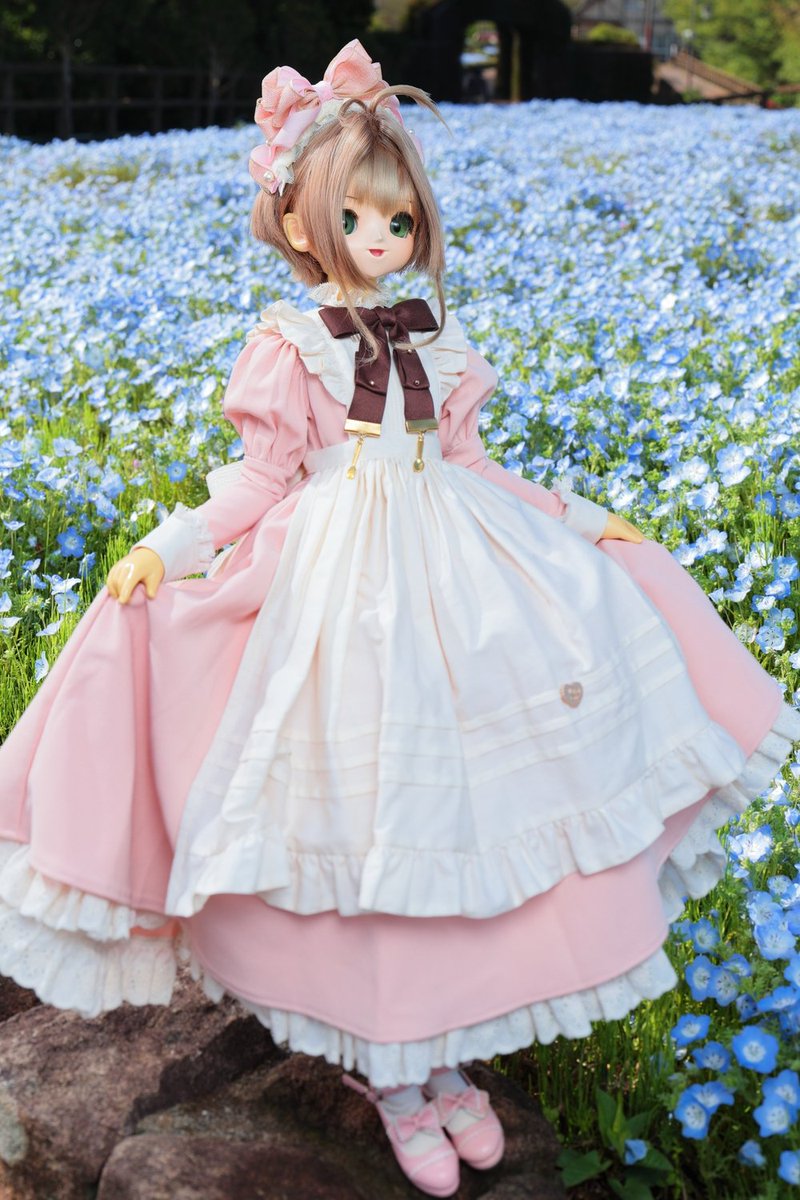 SAKURA COLOR tweet media