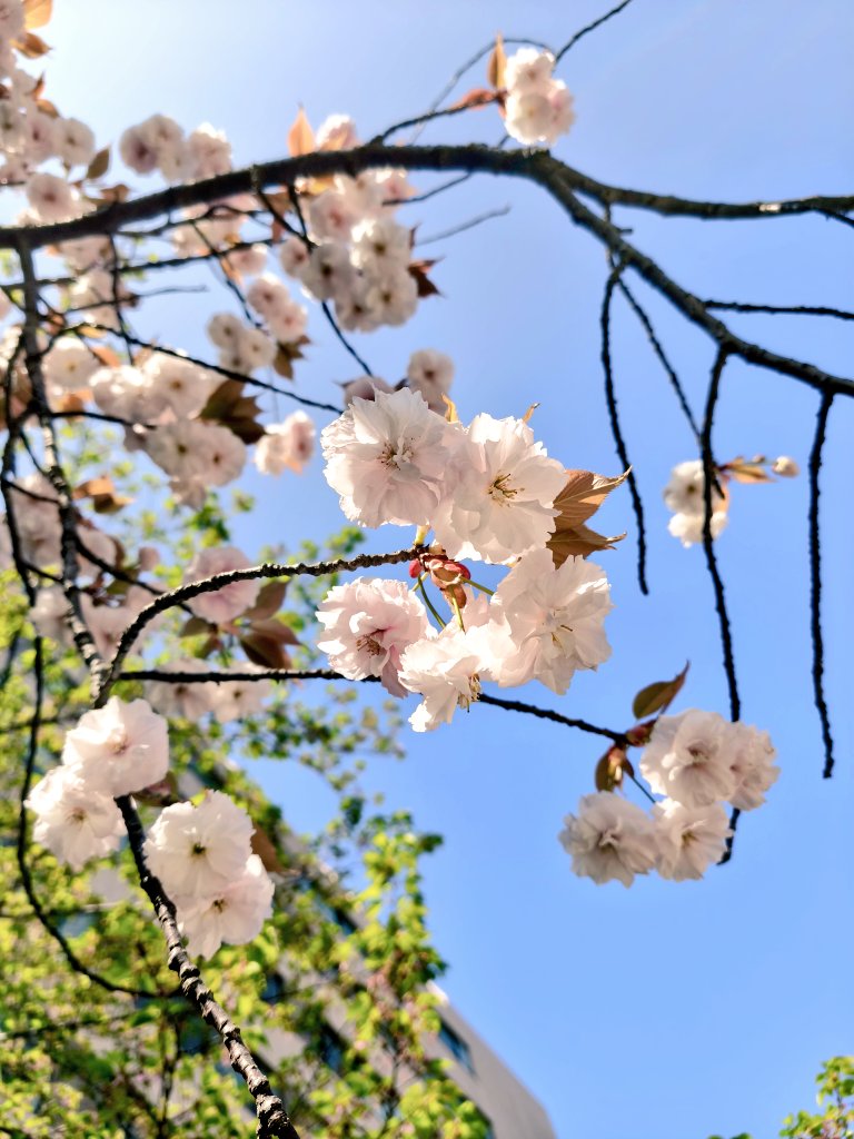 なな🐟️ tweet media