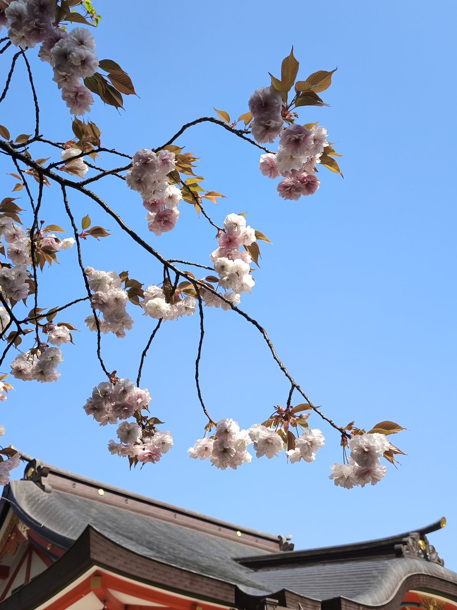 なな🐟️ tweet media