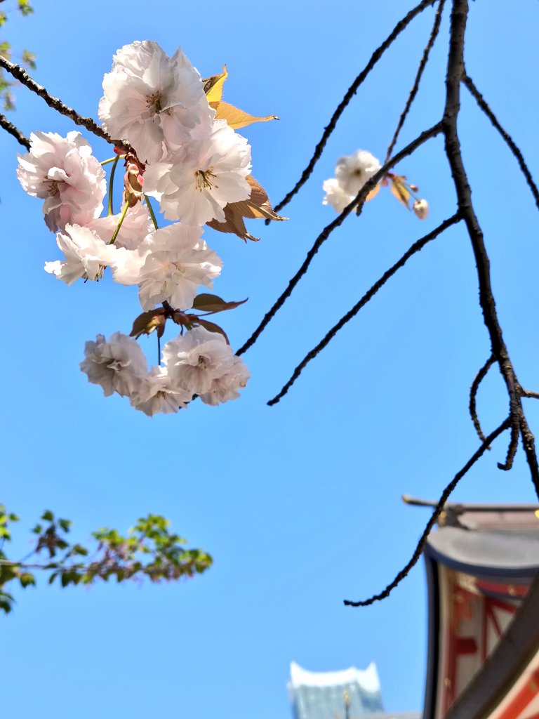 なな🐟️ tweet media