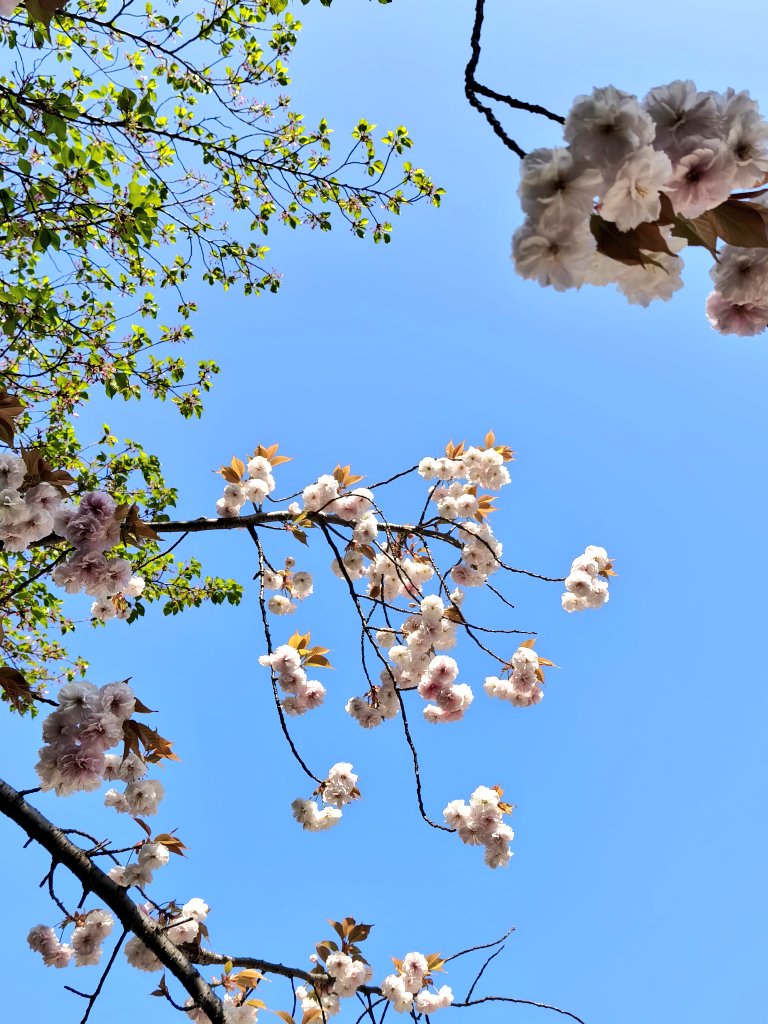 なな🐟️ tweet media