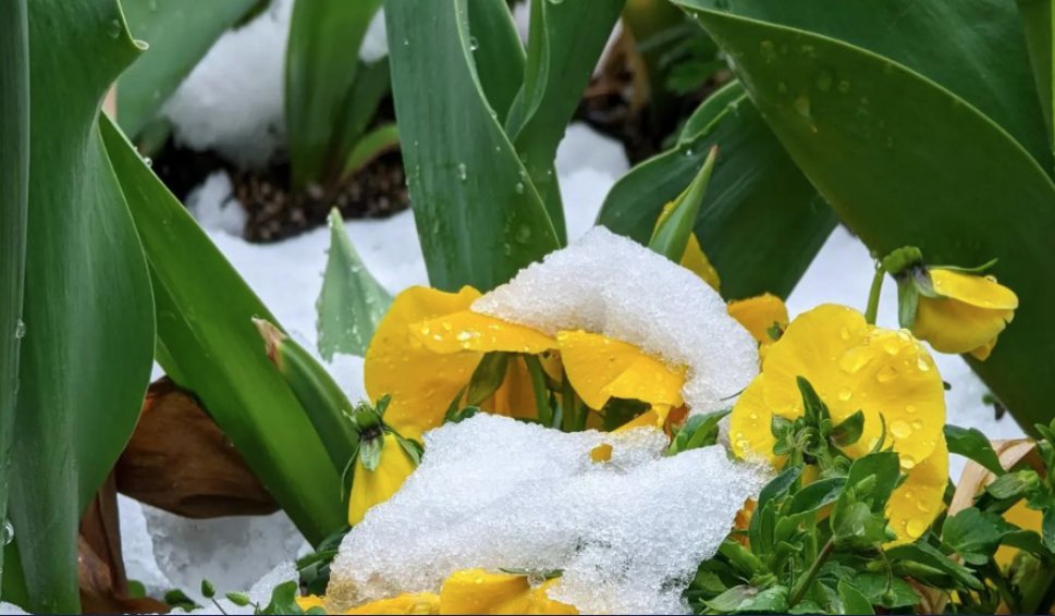 Doug Iverson (Doug I. The Weather Guy!) tweet media