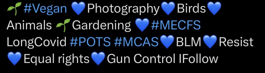 Uncle Cocktail tweet media