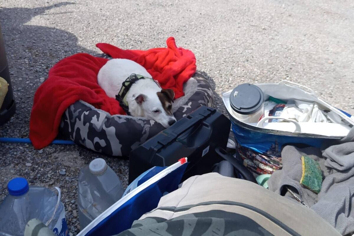 Nice-Matin tweet media