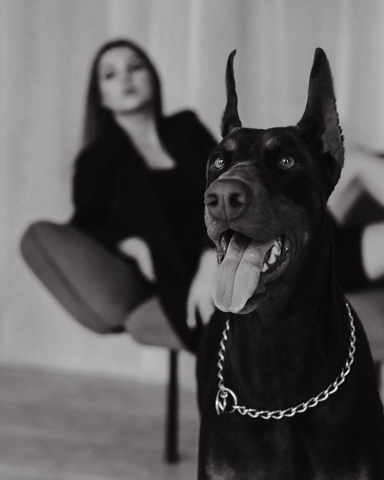 عمتك هاجر tweet media