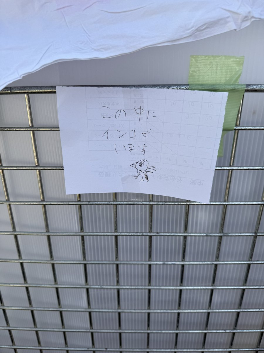 さゆーーーり♨️🦫🐒🐍 tweet media