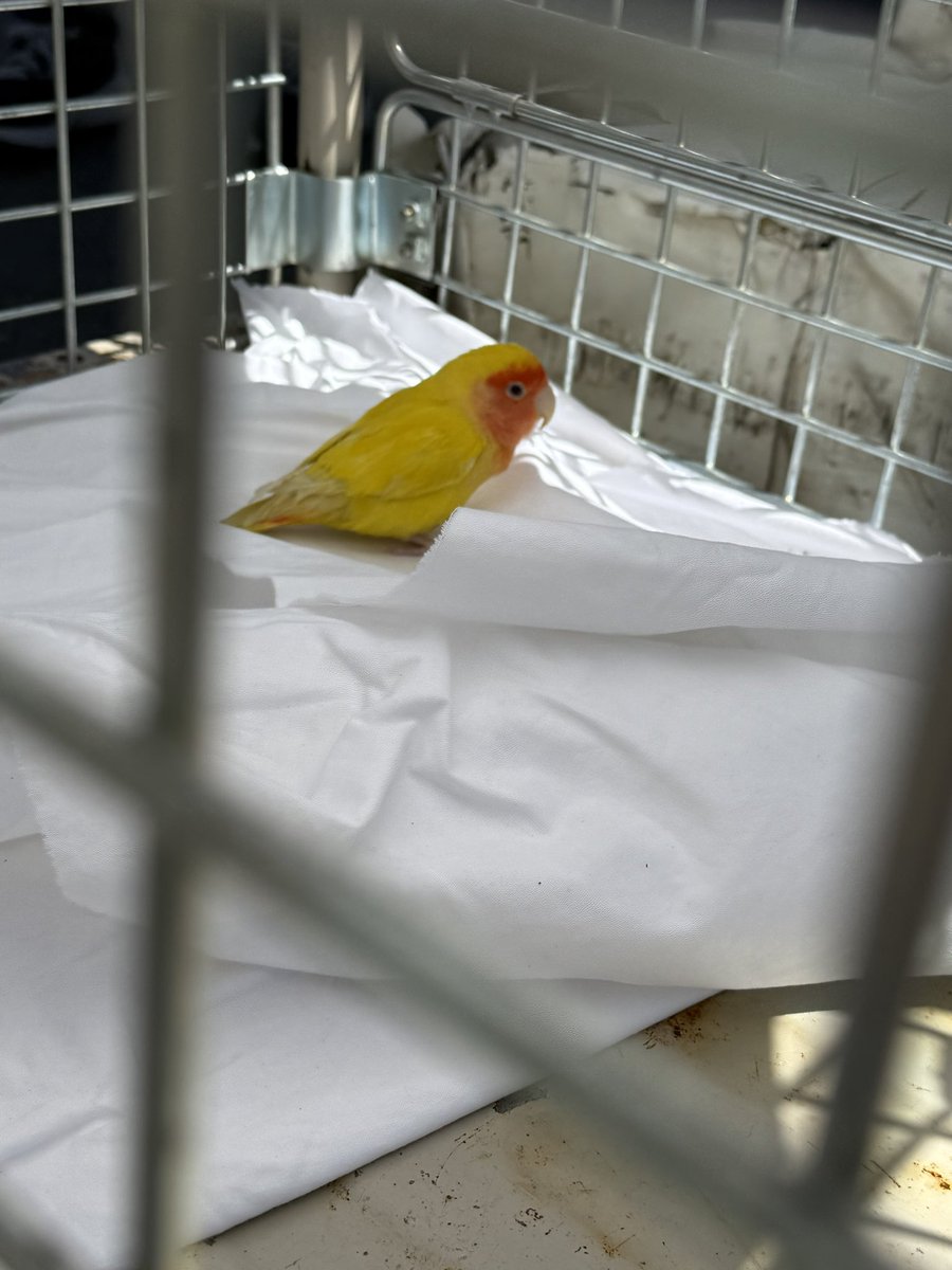 さゆーーーり♨️🦫🐒🐍 tweet media