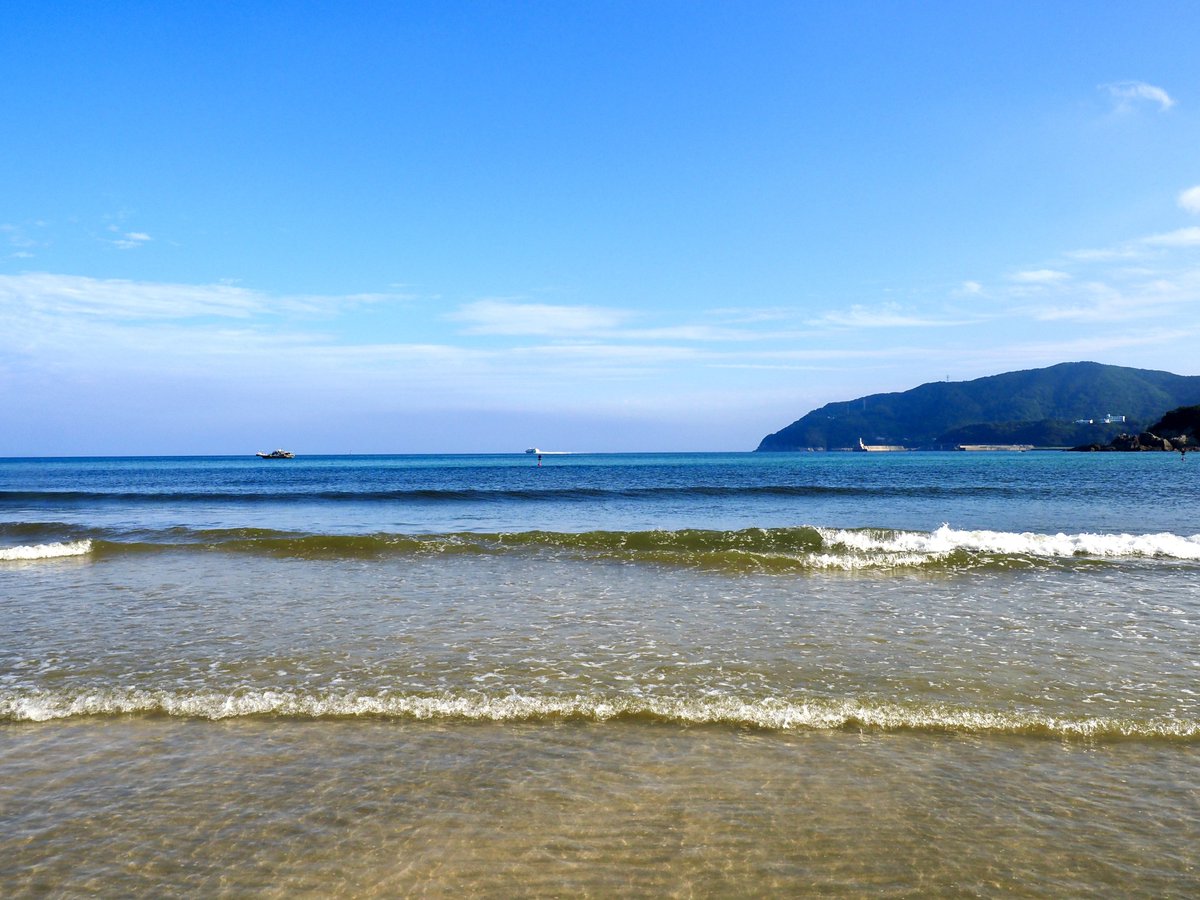 Nature Sounds Japan tweet media