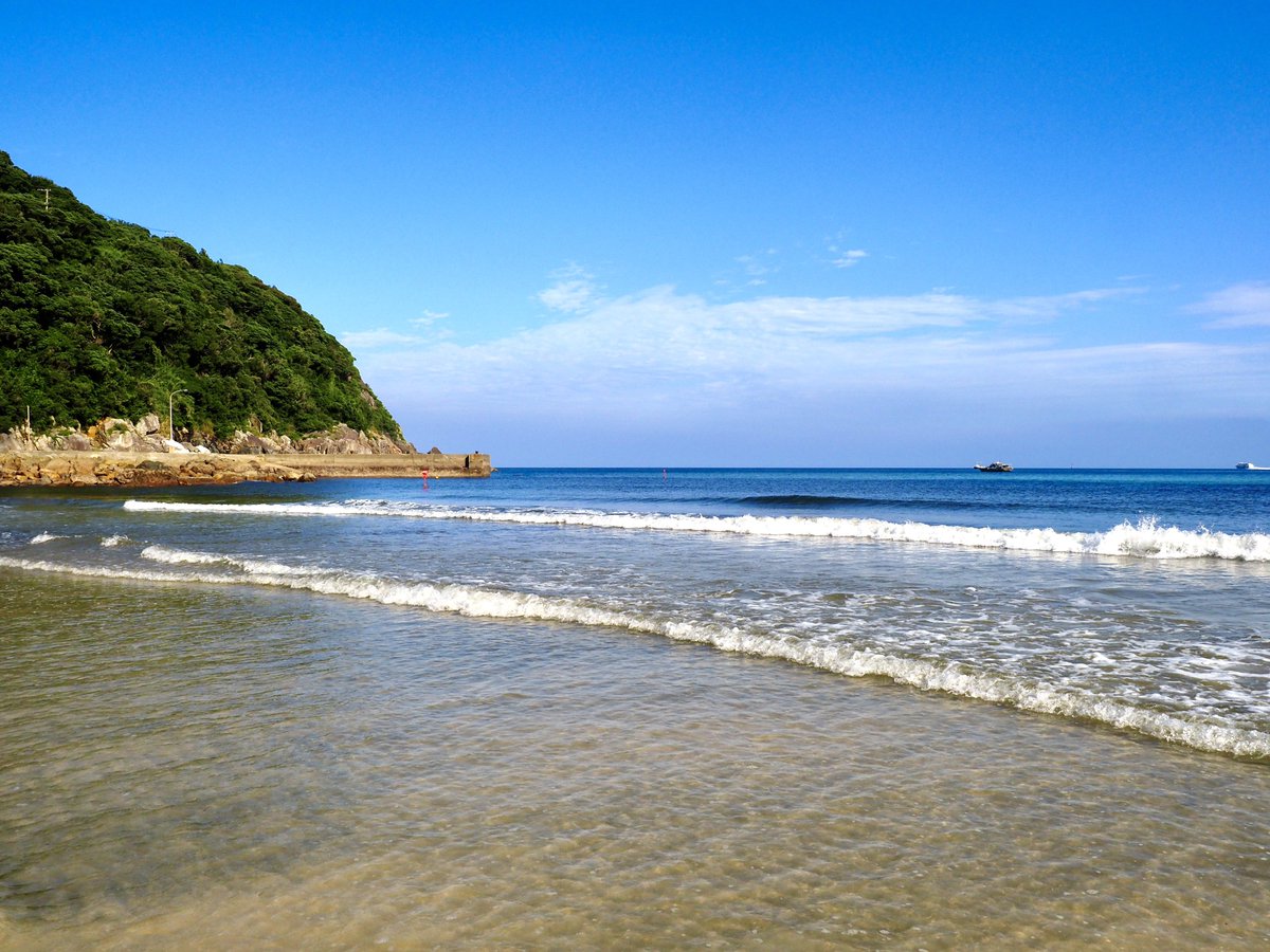 Nature Sounds Japan tweet media