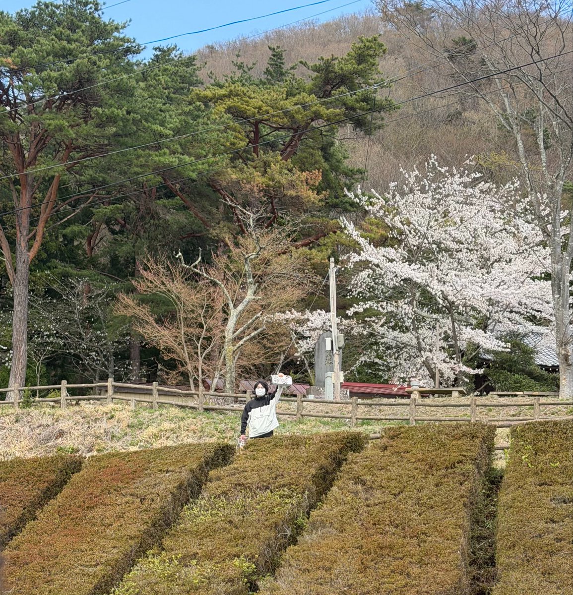 horisu'n👾 tweet media