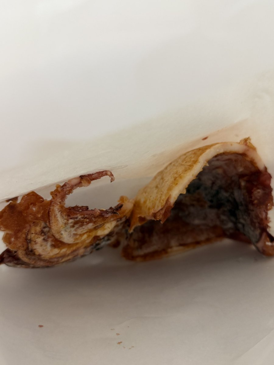 𝘤𝘦𝘭𝘭𝘦𝘳 / ボカロP tweet media