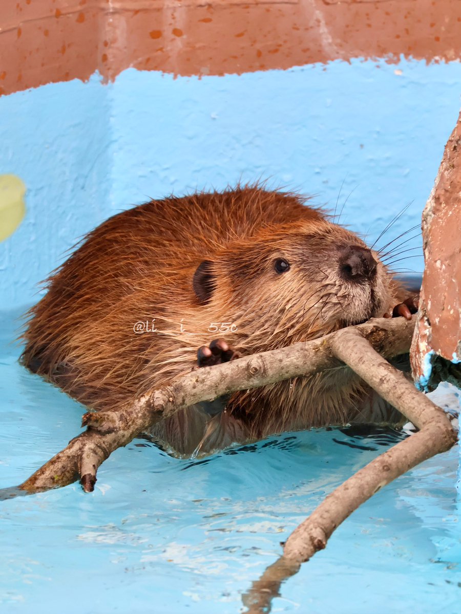 𝚞𝚜𝚊❁︎ tweet media