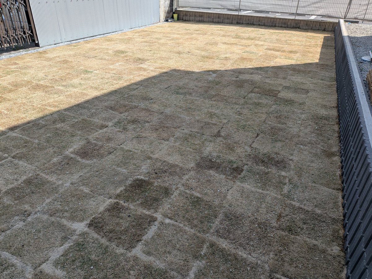 竜さんファミキャン tweet media