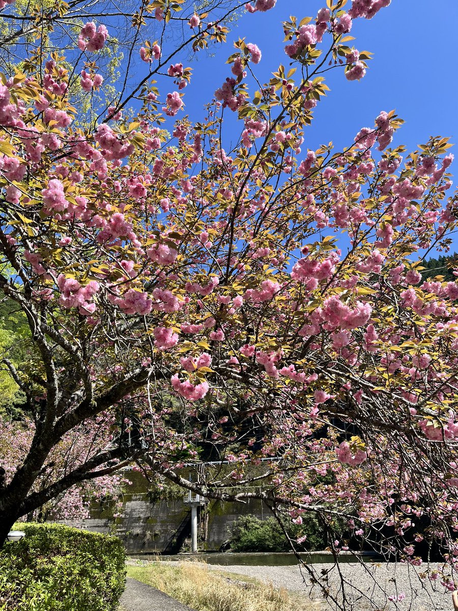 わたらせ温泉♨️【公式】 tweet media