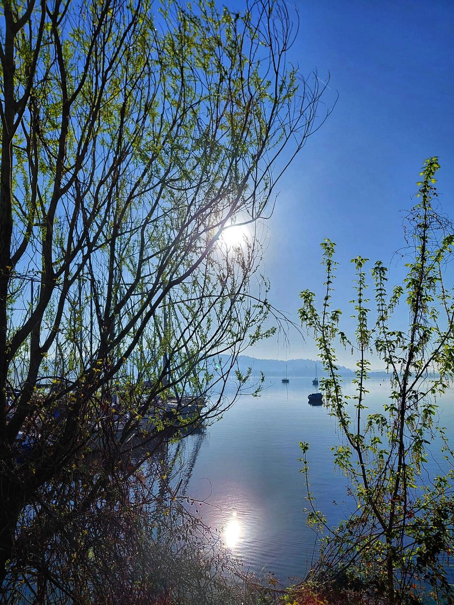 Gaetano Barbagallo tweet media