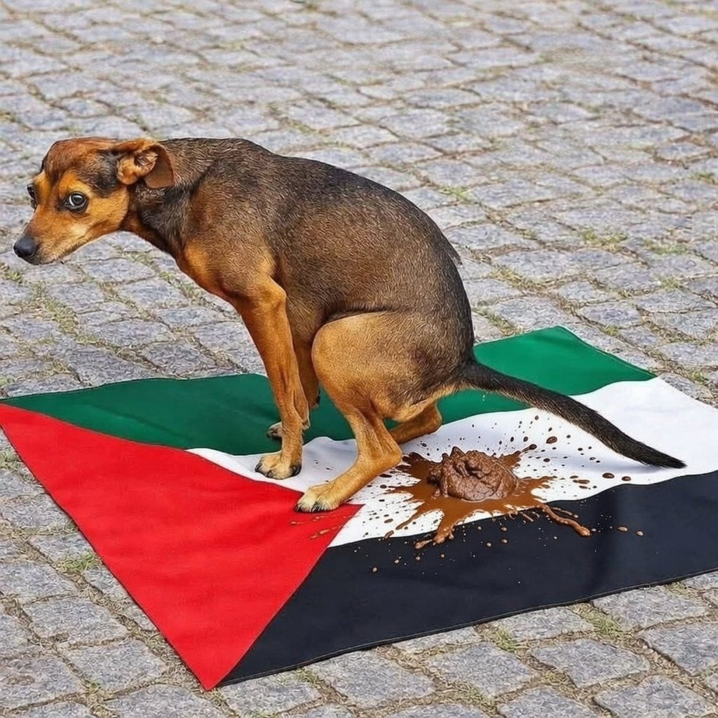 DILLI'S MEMES☠️ tweet media