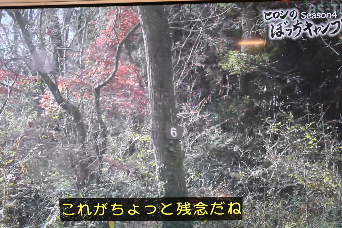 raitasancamp's tweet photo. サイト番号の話し 
ヒロシさん、これでもイヤなのね。  

それにくらべりゃ ワシはだいぶ寛大。 https://t.co/ddbCyZbC4x