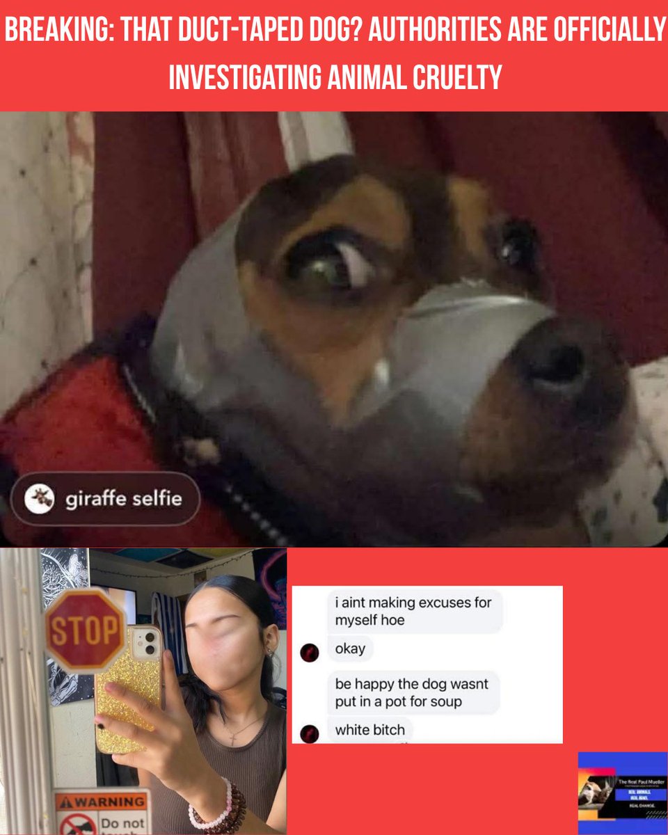 RealPaulMueller's tweet image. New Video: Breaking — We’ve confirmed an animal cruelty investigation is underway in the duct-taped dog case we first brought you

Poplar, Montana — After disturbing images went viral, the Roosevelt County Sheriff’s Office confirmed an investigation. Now, The Journal reports the
