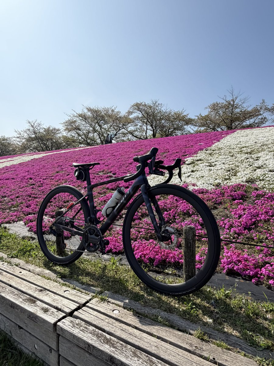 なつべい tweet media