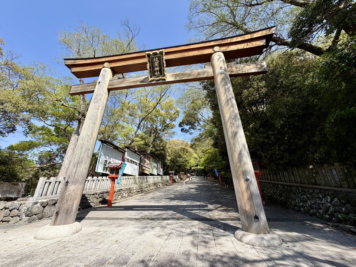 KeyKeyi's tweet photo. いつ来ても気持ちいい場所⛩️ https://t.co/vMkROZYnM4