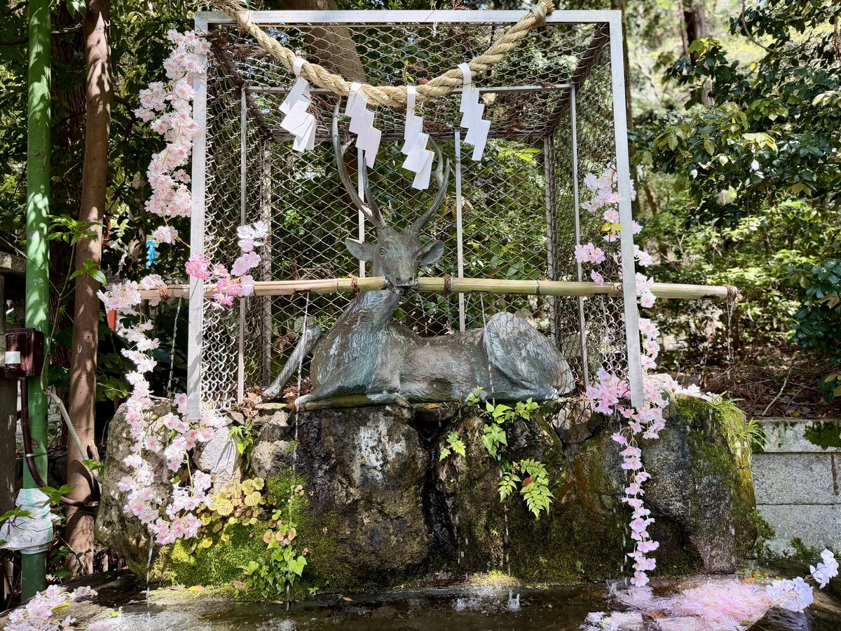 KeyKeyi's tweet photo. いつ来ても気持ちいい場所⛩️ https://t.co/vMkROZYnM4