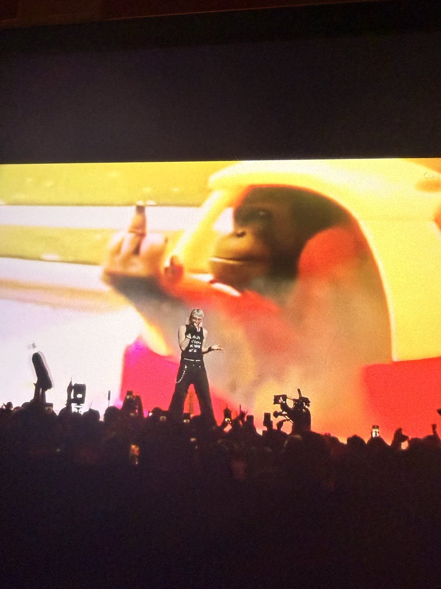 Skittle 🐾🎀 tweet media