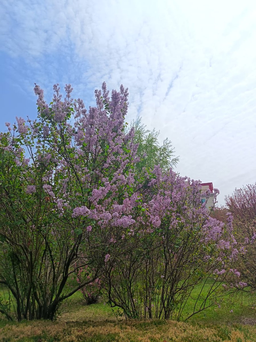 leah 🦑🌸 tweet media