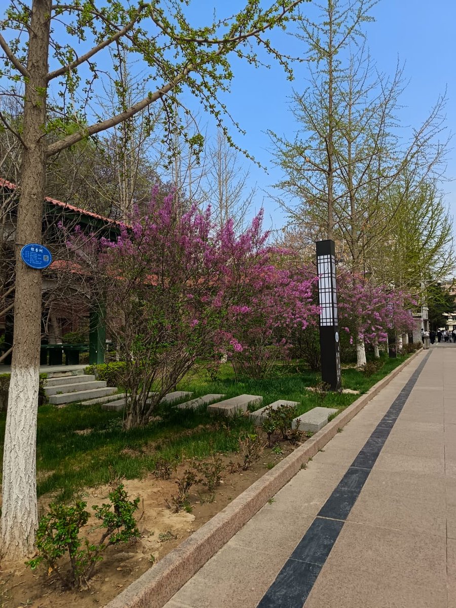 leah 🦑🌸 tweet media