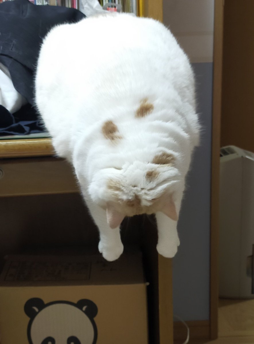 まさまさ tweet media