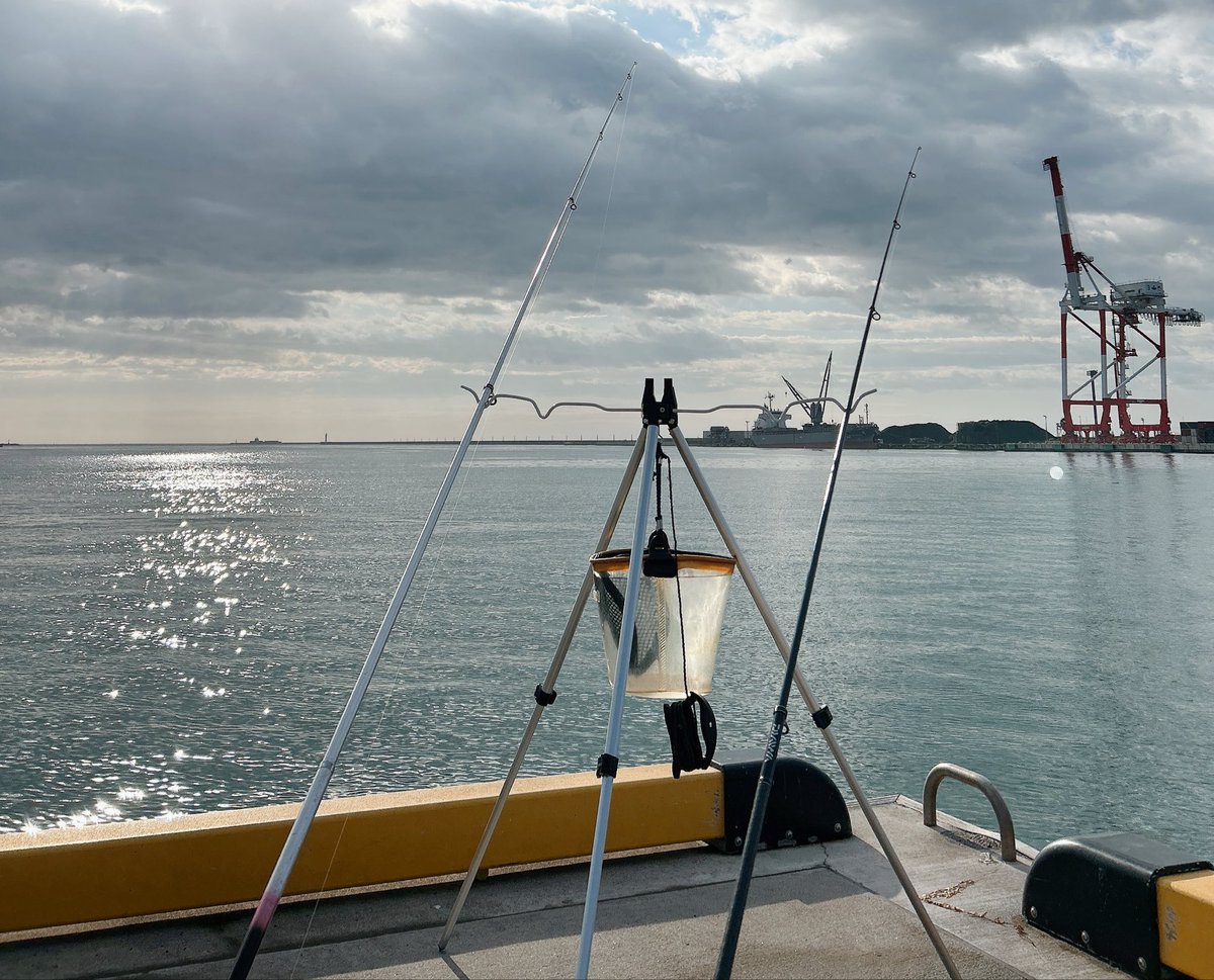 朝6時-11時で釣りしてシャコエビ4匹GET!!🎣
メス3匹、オス1匹❕
バラしまくって6度目の正直くらいでやっと
釣り上げた、笑笑  
下手になってるって家族に笑われた😂
今回はエビフライにしてもらう！
天気良すぎて日焼けして顔が真っ赤です🤣

魚類が全然釣れなかった。。。笑

 #仙台港