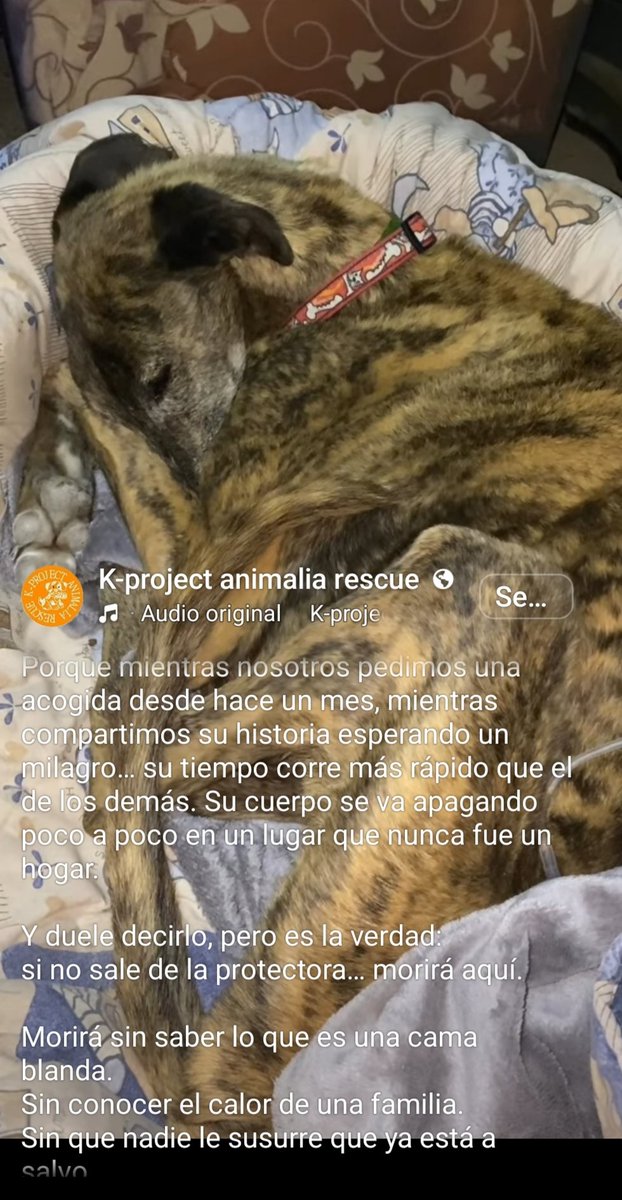 María Viñuela del Jeso tweet media