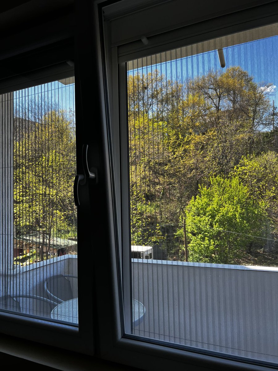 MIhail Hrynenko tweet media