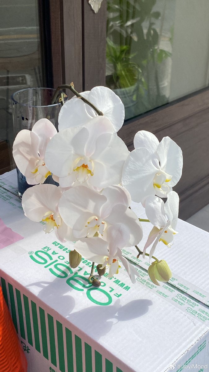 Ania Bunz Keysh tweet media