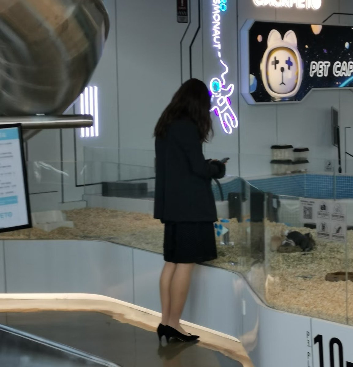 南京小董 tweet media