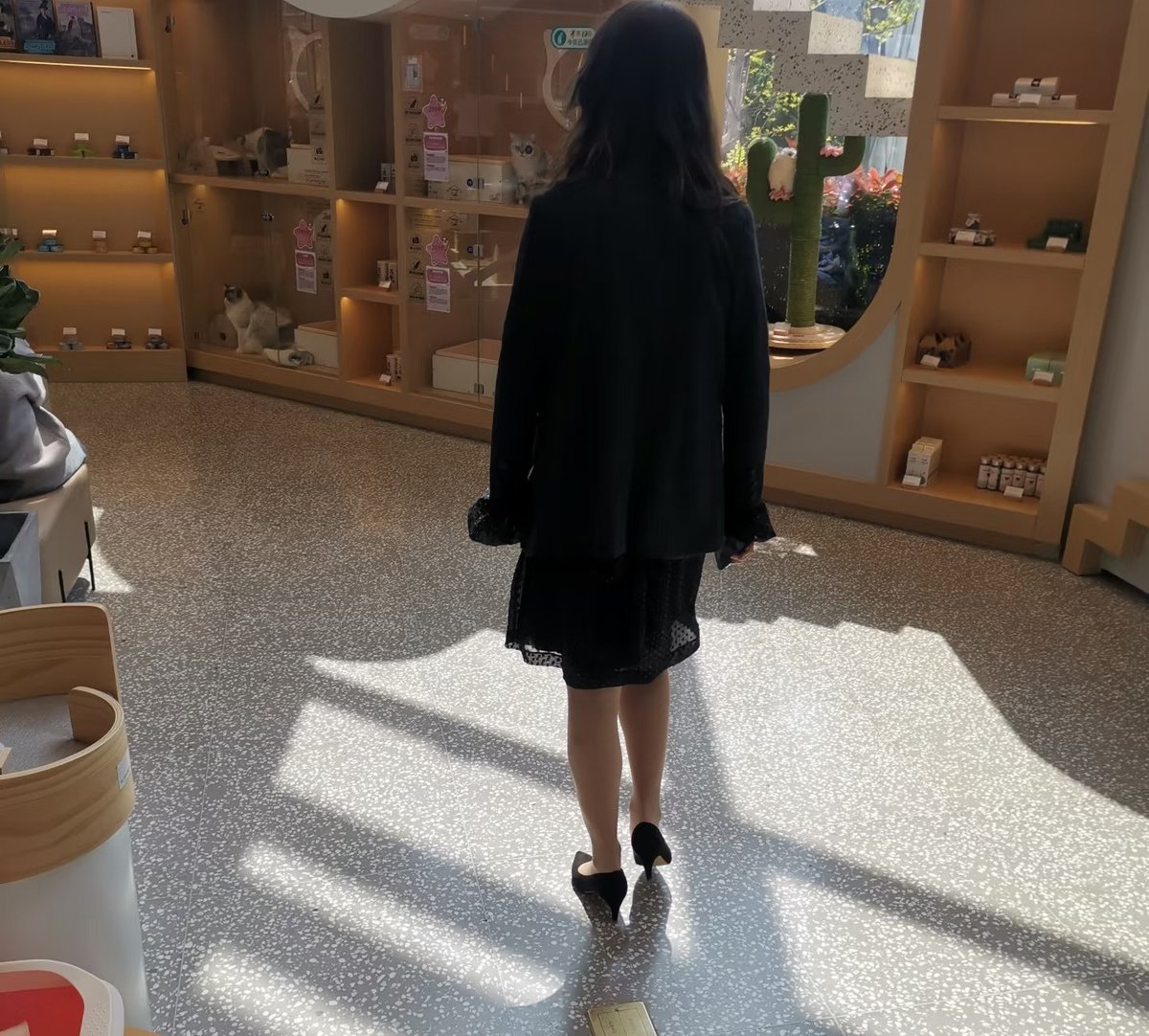 南京小董 tweet media