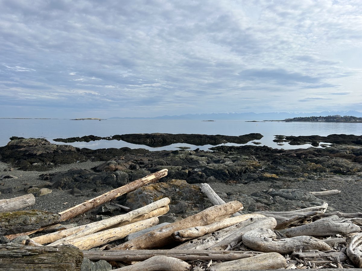 fugitivehistor1's tweet image. It's #selfpromosaturday! Founder of Tin Hill Press, a (very) nascent publisher. When not distracted by my beautiful surroundings, I run a #dnd5e campaign and make #maps I hope to eventually use in published adventures and dungeons. And you #ttrpg creative...What's up? #art #dnd