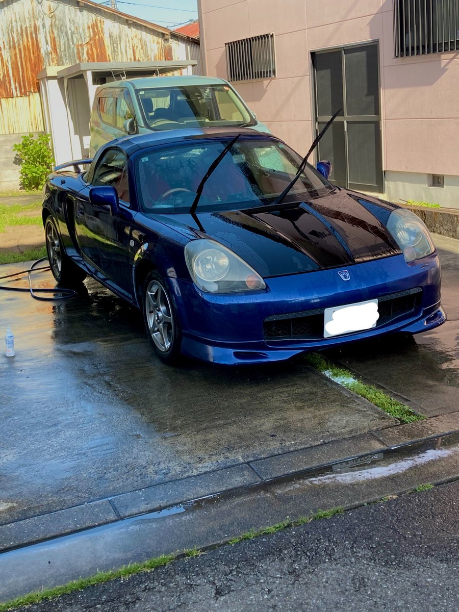 しょんぽぽ tweet media