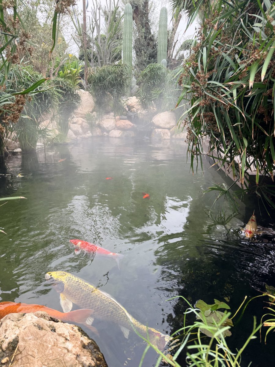 محمد المرزوقي tweet media