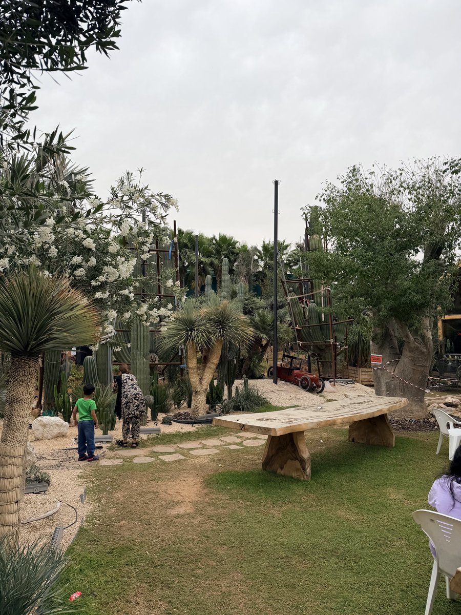 محمد المرزوقي tweet media