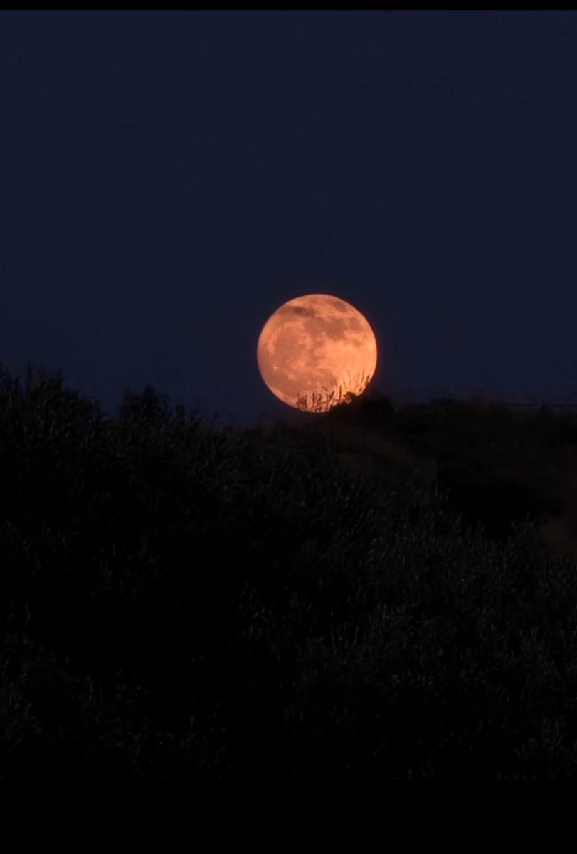 Spunta la luna dal monte 
Valerio Scanu e Maria Luisa Congiu