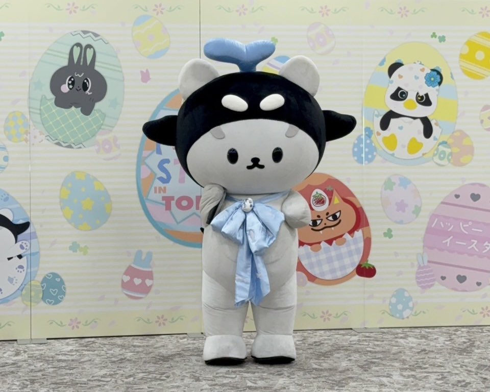 Polcasan tweet media