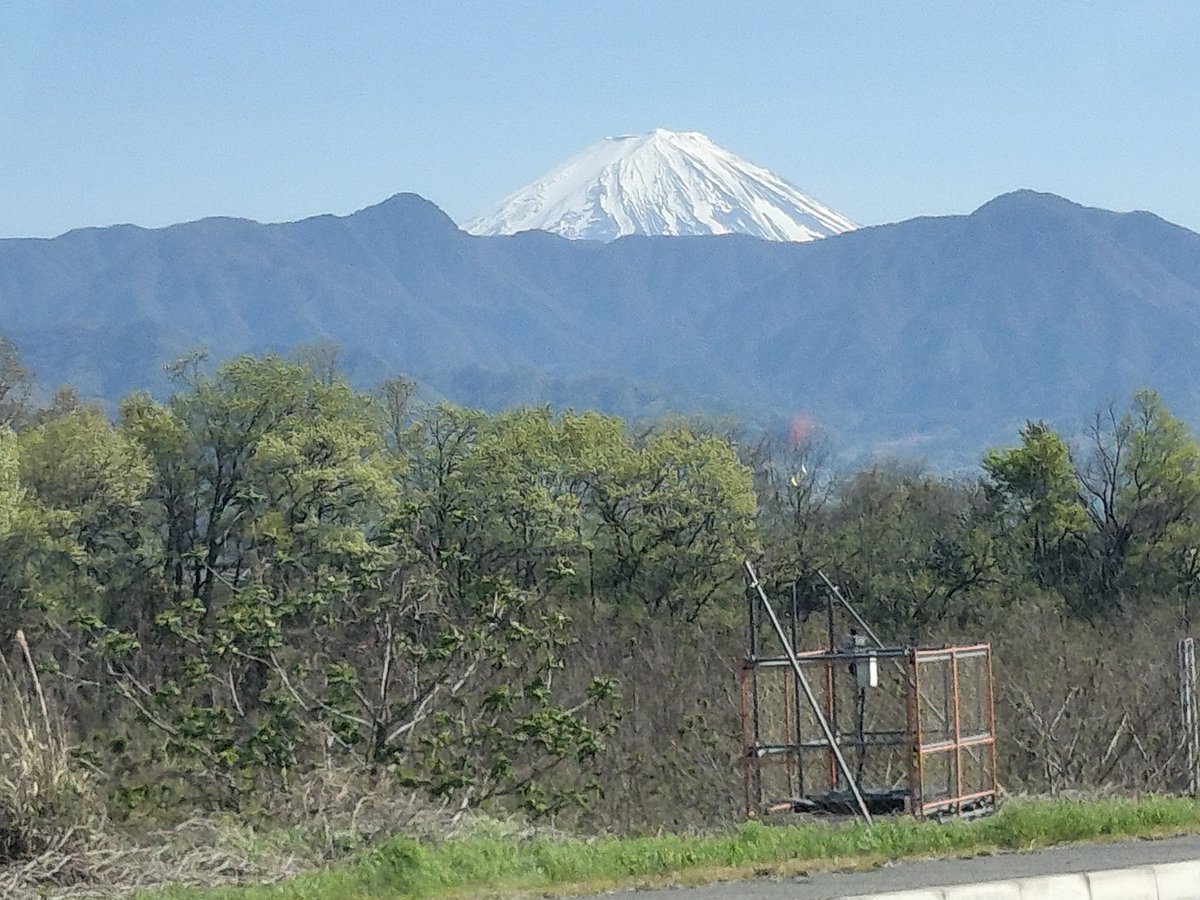 イノウエ tweet media