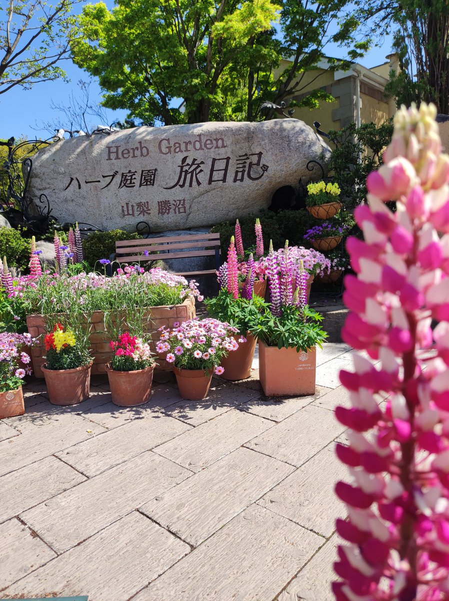 Il_mare_mia's tweet photo. うちの子たち可愛すぎるっ♡🌷🌼🪻
🦋⏳ 📄 https://t.co/YYCYihlk42