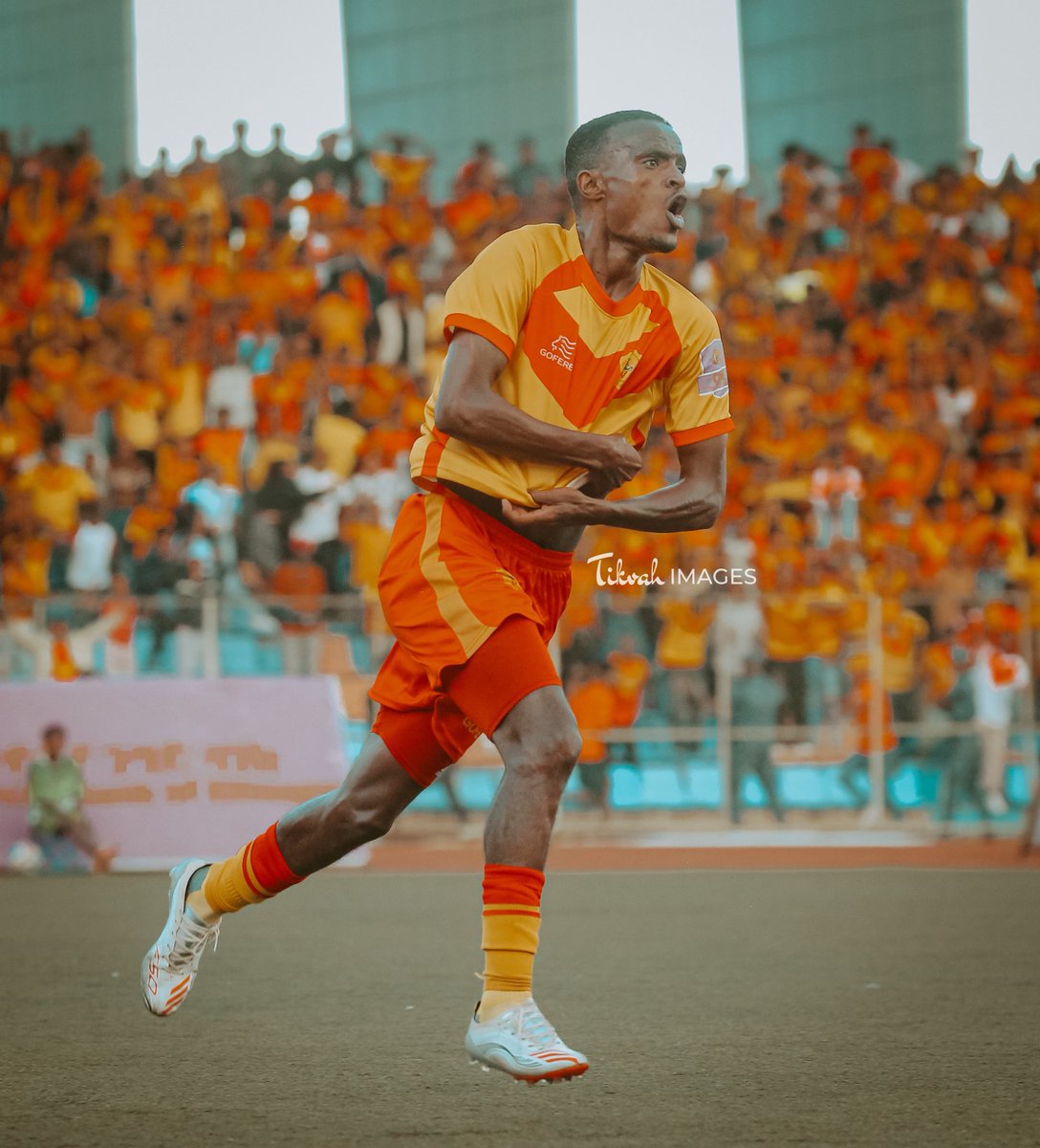 Tikvah Sport Images 📸🇪🇹 tweet media