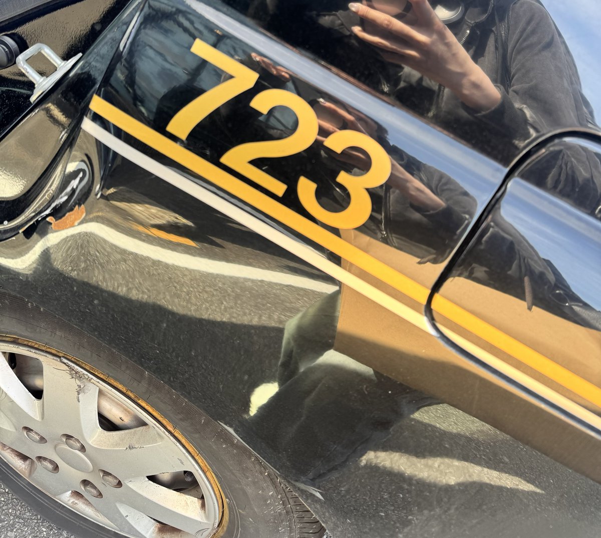 夏海@なつみん🐬 tweet media